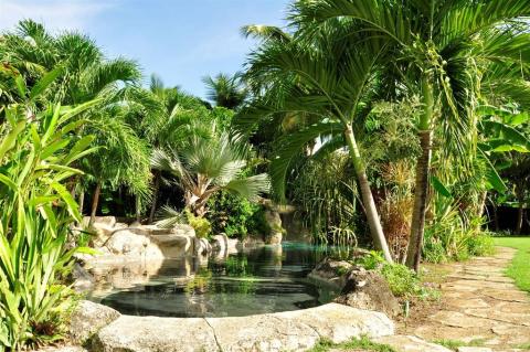This image showcases a lush tropical garden with a natural-looking pond