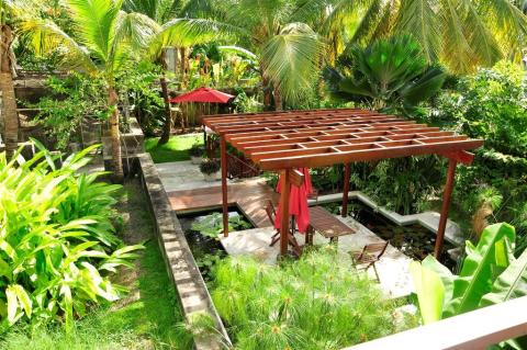 This image shows a tranquil garden setting
