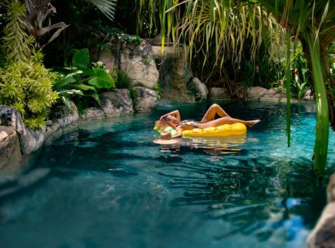 The image shows a lush, tropical pool setting with clear blue water surrounded by a variety of plants and trees