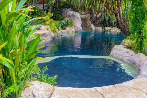 This image shows a beautiful, natural-style swimming pool surrounded by lush tropical vegetation