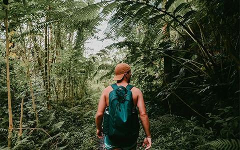 The image shows a man from behind, wearing a cap and a green backpack, walking through a lush green forest filled with dense foliage and ferns