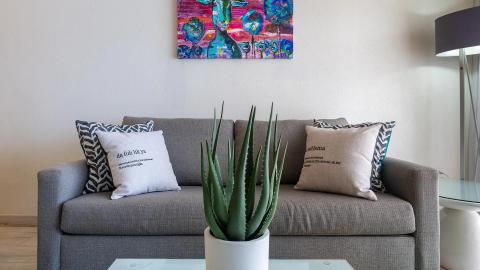 This image depicts a modern and well-decorated living room setting