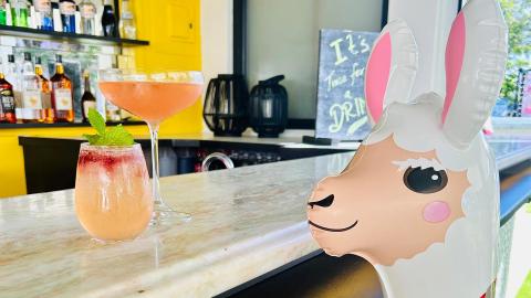 In the image, there is a whimsical setup featuring a cutout of a cartoon-like llama face with rabbit ears, situated at a bar