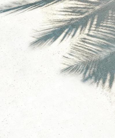 This image features the shadow of palm leaves spread across a sandy surface, creating a pattern of dark and light areas
