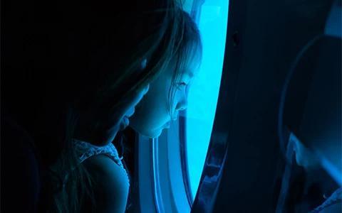 The image shows a young girl looking out of an airplane window