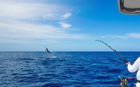This image captures a deep-sea fishing scene