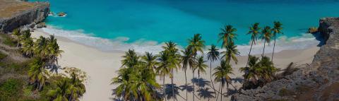 The image shows a beautiful tropical beach with stunningly clear turquoise waters